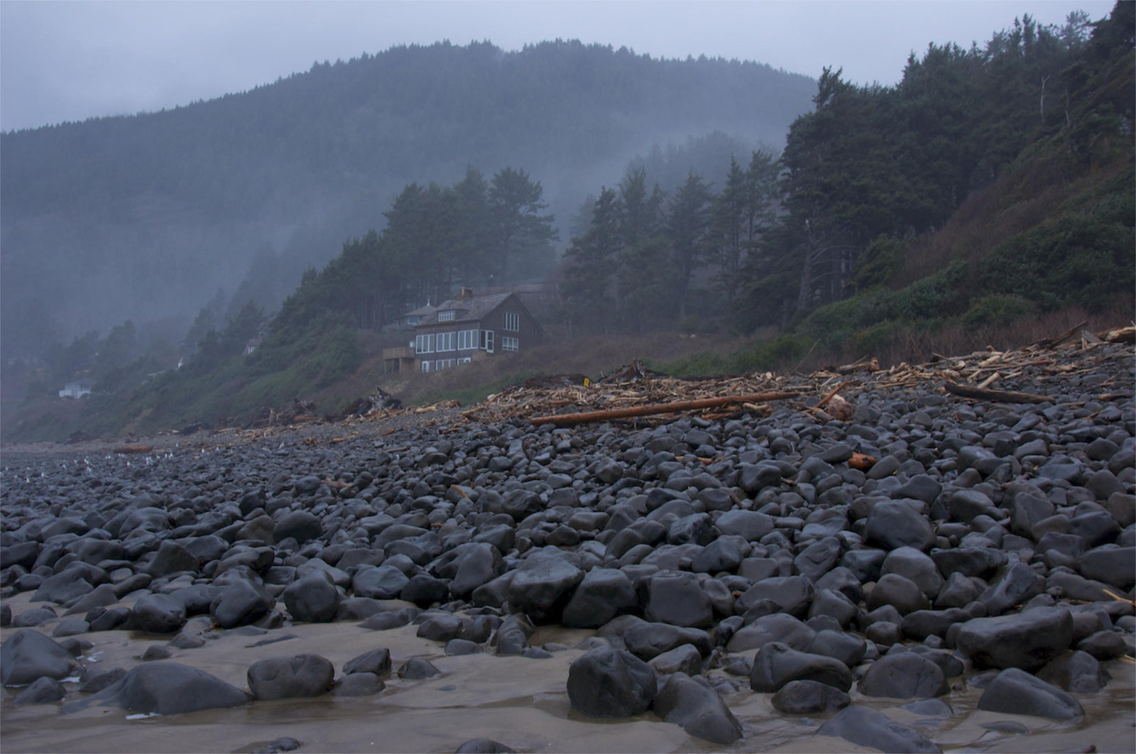 The New Coastal Walnut Studiolo
