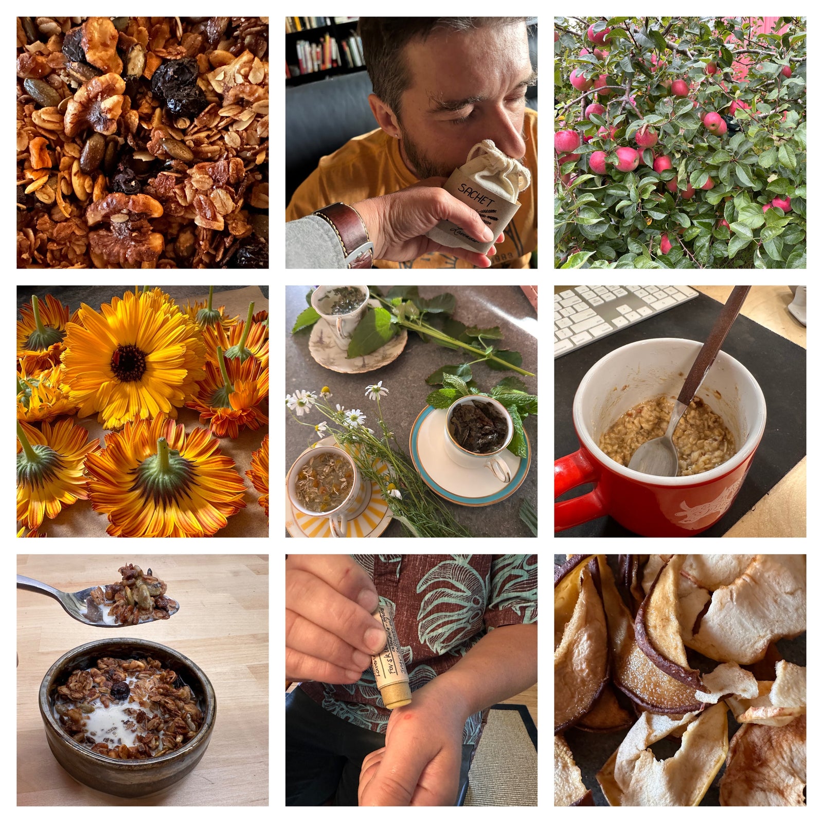 A photo collage of nine: calendula flowers, warm crispy granola, a man inhaling an aromatic herb sachet, tea cups, oat meal bowls, applying a salve stick, and dried apples