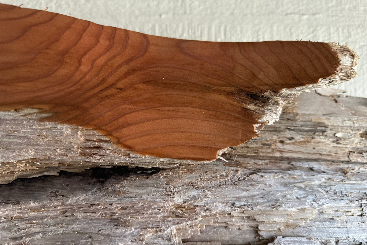 Close-up of a wooden surface with natural grain and texture, showing a furry weathered gray exterior and a rich reddish lined interior