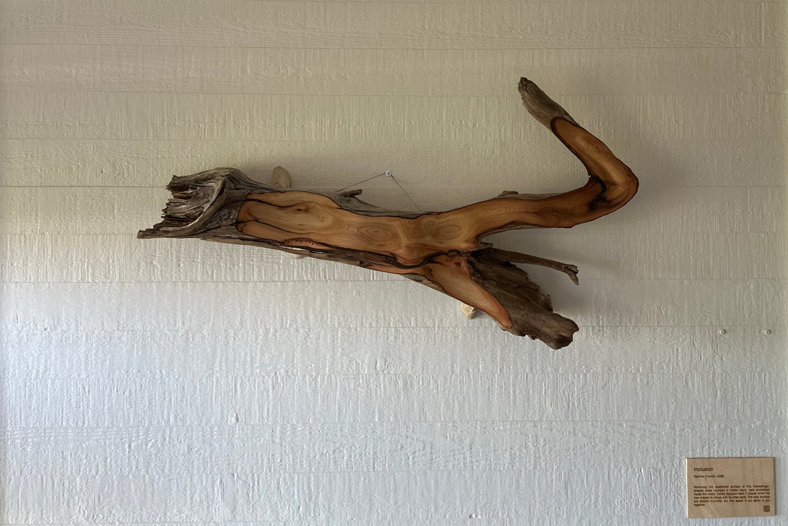 Driftwood branch art piece mounted on a white wall above a fireplace