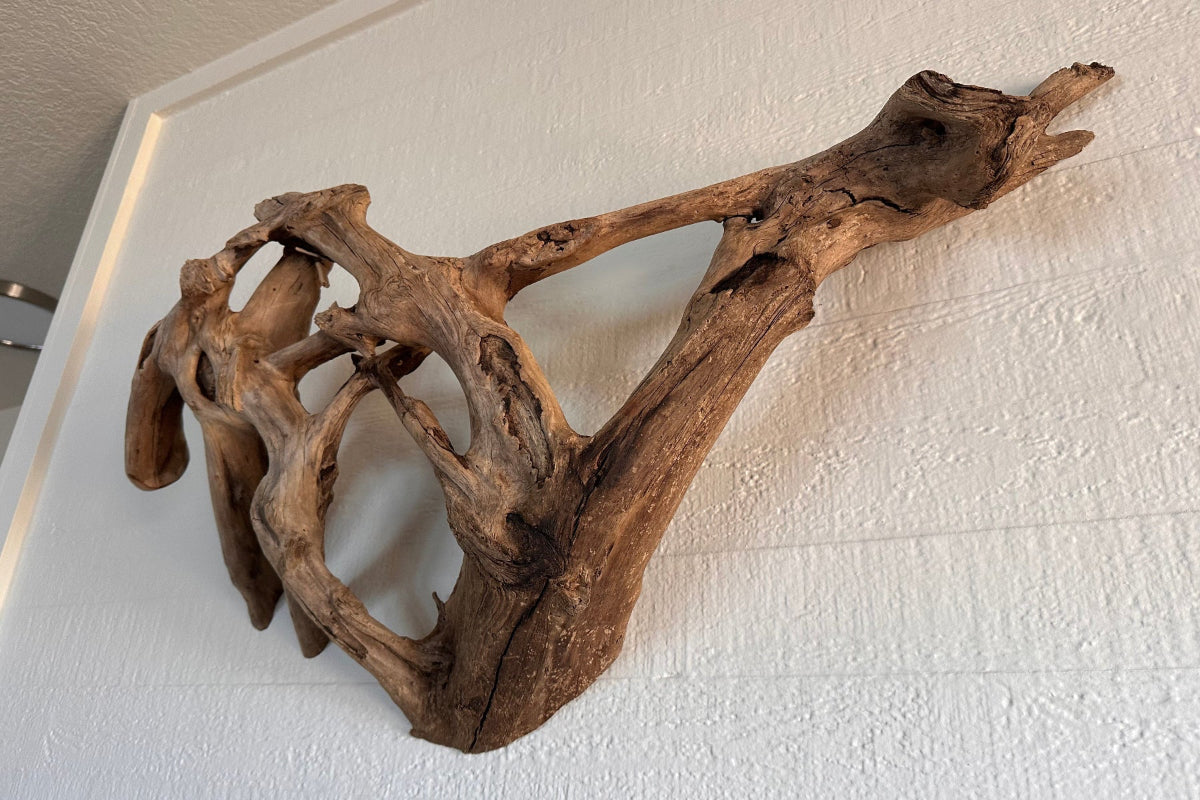 Driftwood piece on a white wall
