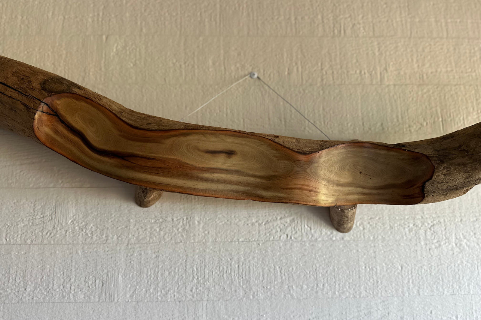 Close-up of a naturally curved driftwood branch sculpture mounted to a textured white wall, showing revealed multi-color wood grain beneath the gray weathered driftwood exterior
