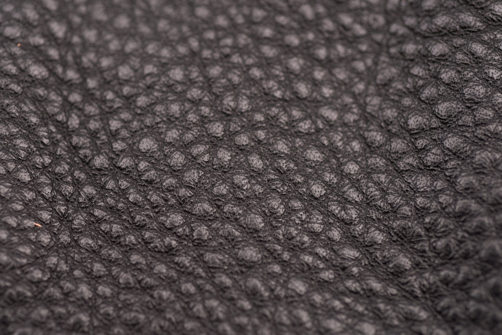 Close-up of black top grain leather swatch