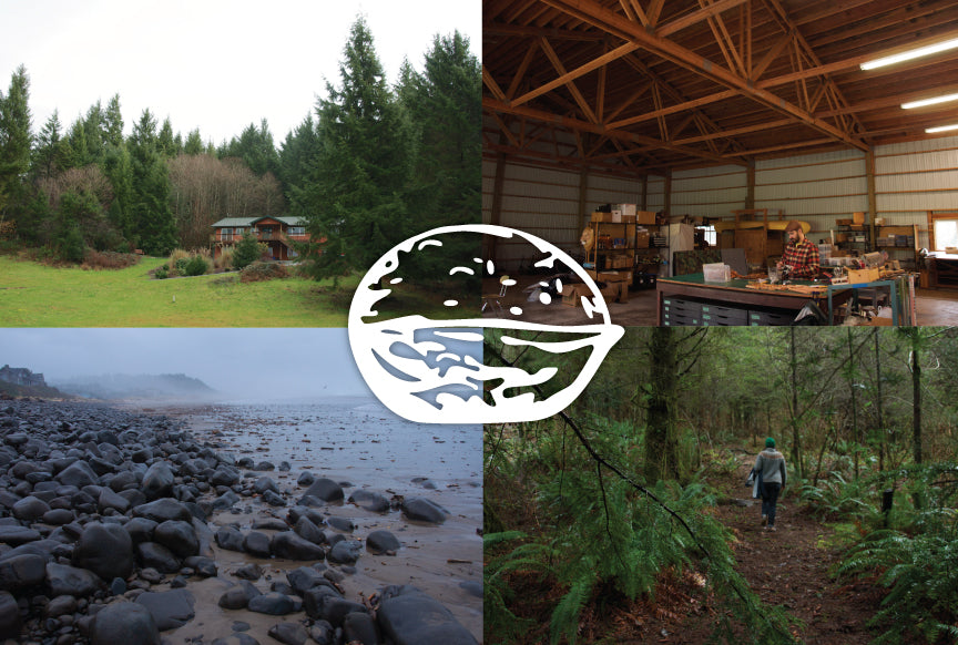 Collage of four photos of the Oregon Coast that each have a strong color: blue misty ocean, warm wood workshop, dark green forest, light green meadow