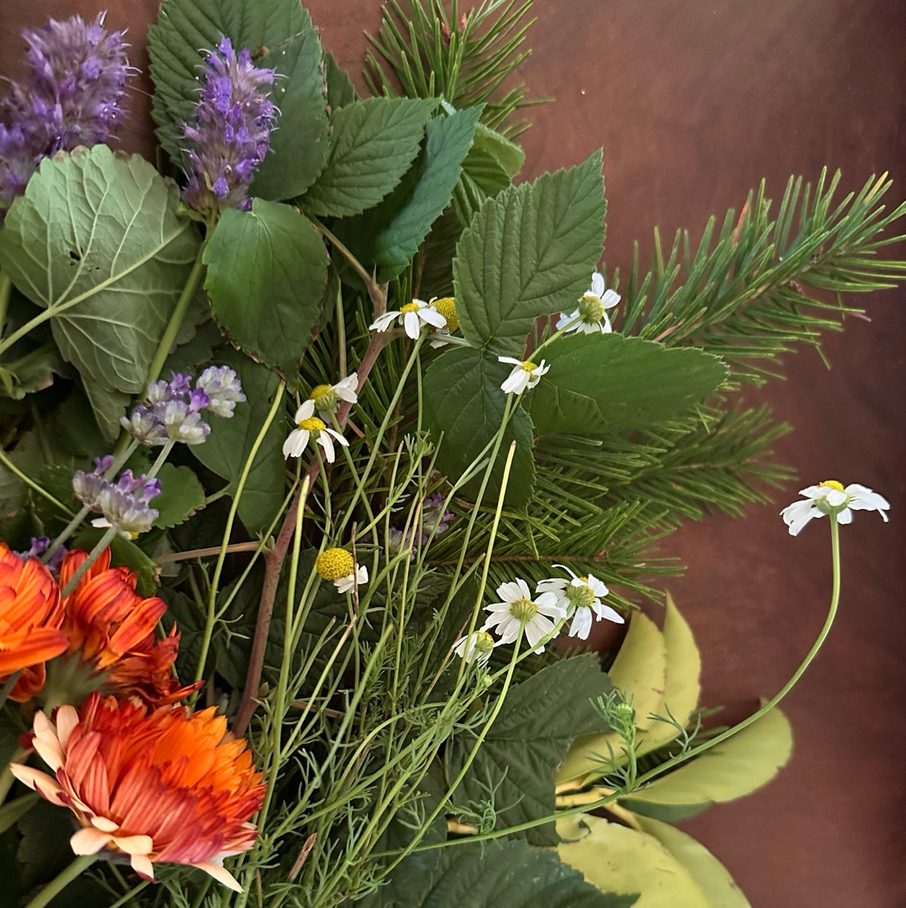 A bouqiet of branches, sprigs, and flowers from our homstead used in products: calendula, anise hyssop, mint, lavender, chamomile, forest conifers