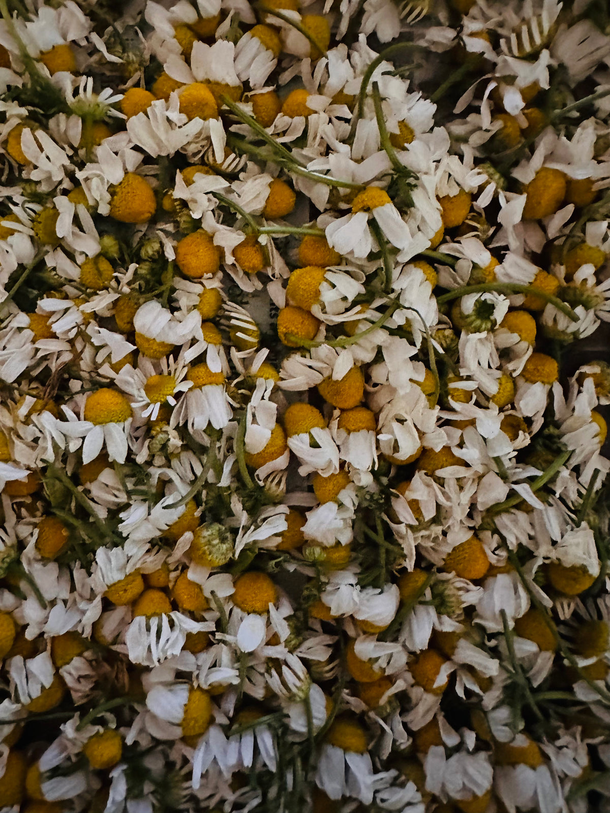 Garden-Grown Herbal Tea