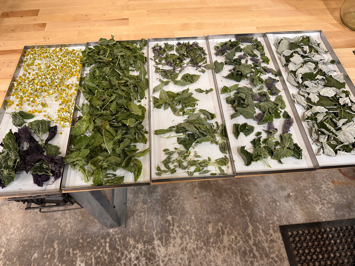 Garden-Grown Herbal Tea