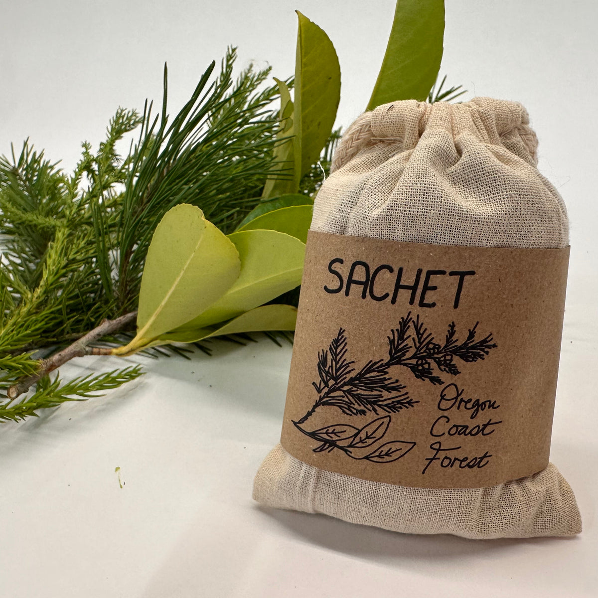 Sachet bag labeled &#39;Oregon Coast Forest&#39; with green foliage on a white background