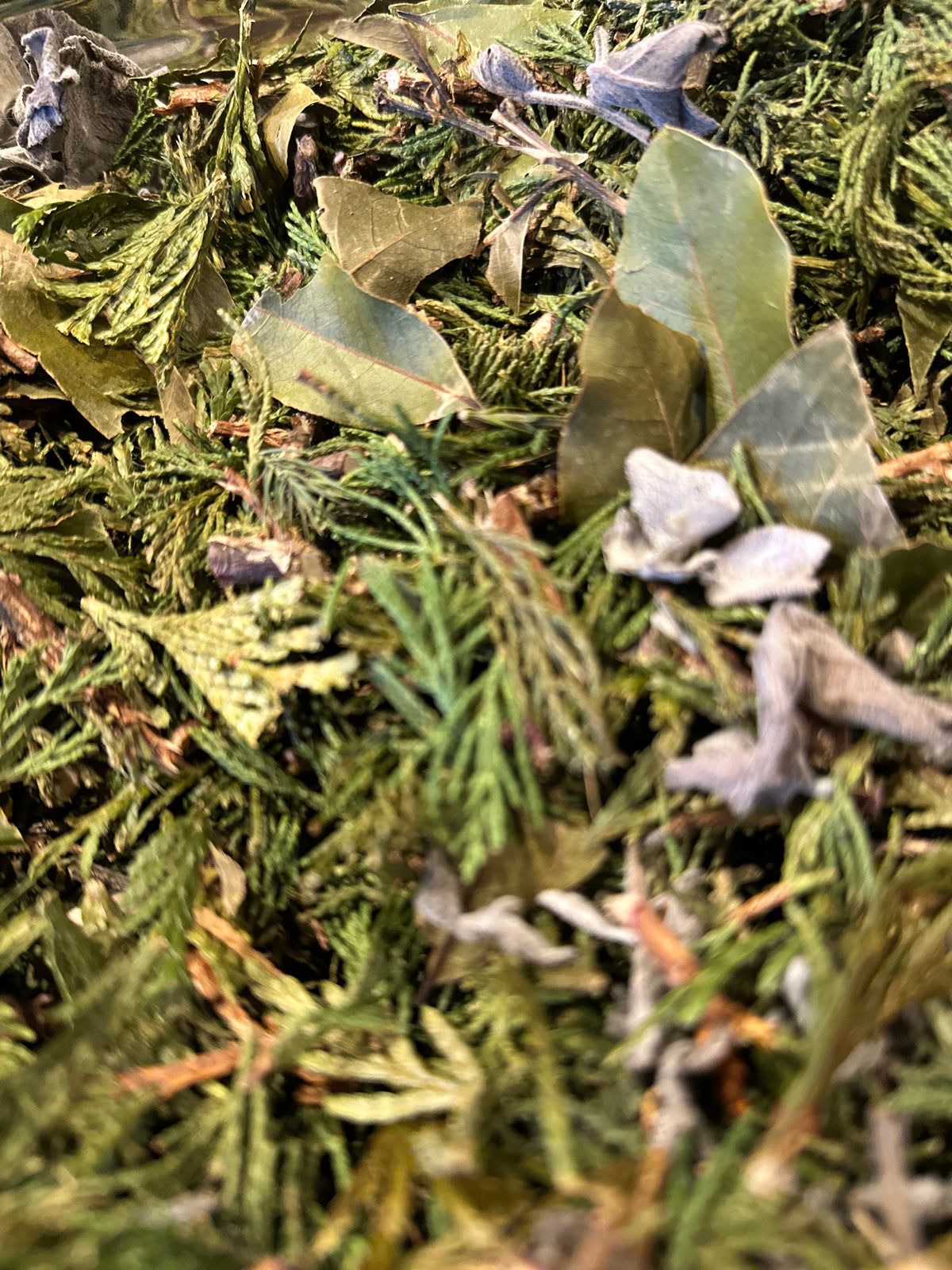Aromatic PNW Foraged Forest Sachet