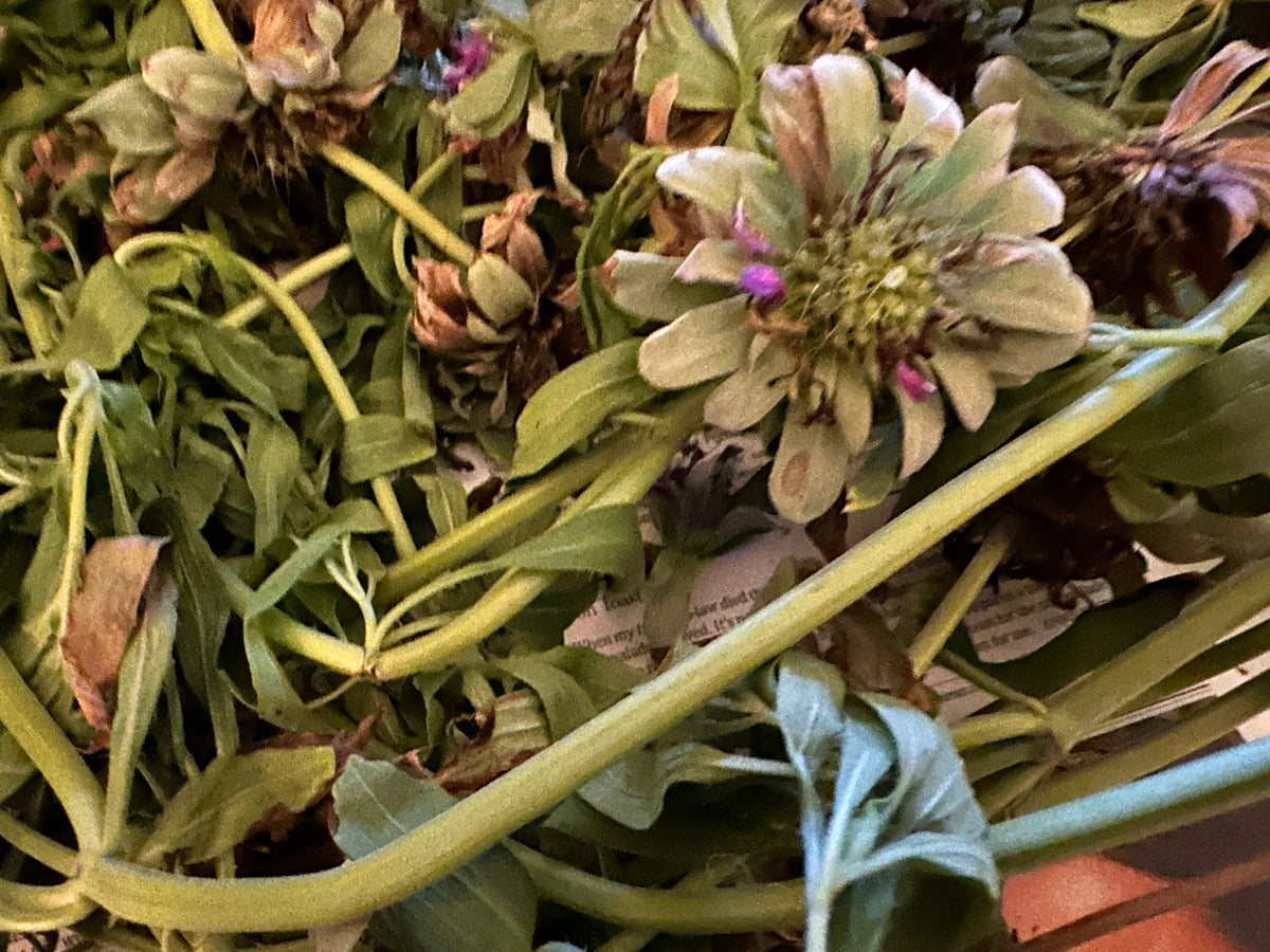 Garden-Grown Herbal Tea