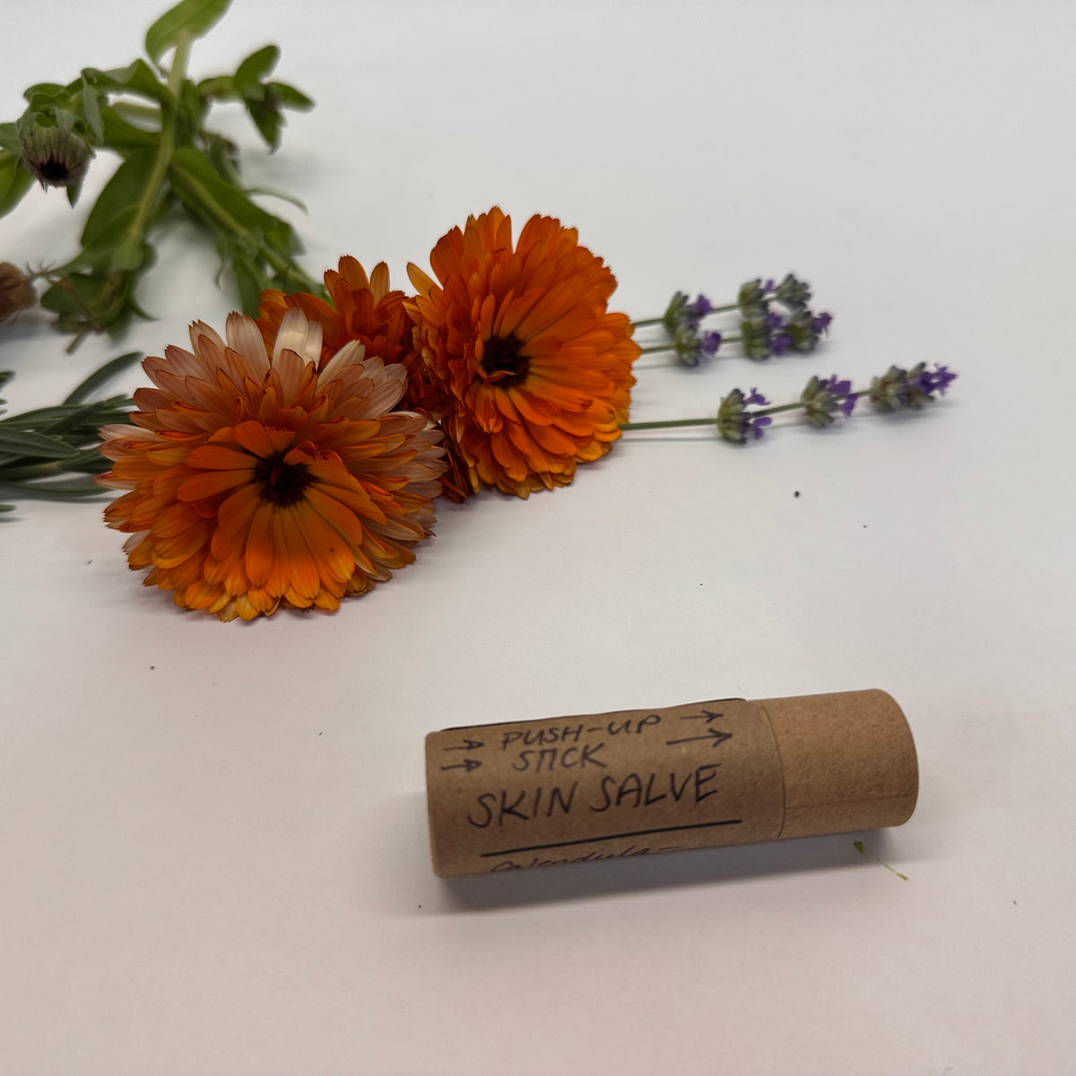 Skin salve tube container with calendula and lavender flowers on a white background