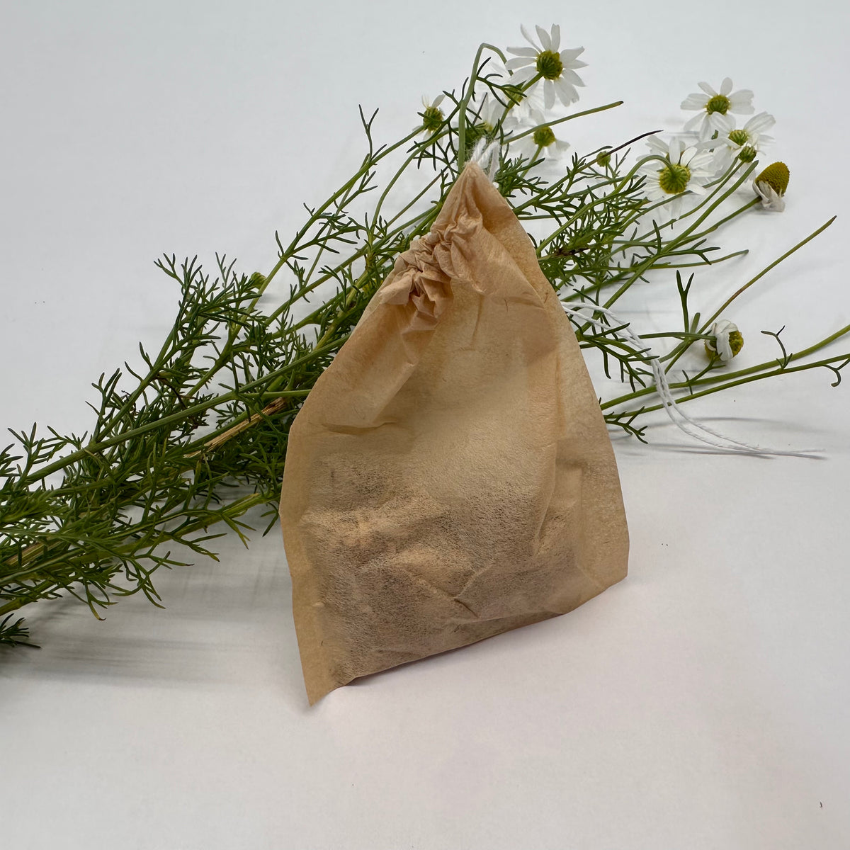 A brown paper tea bag in front of a sprig of fresh chamomile flowers