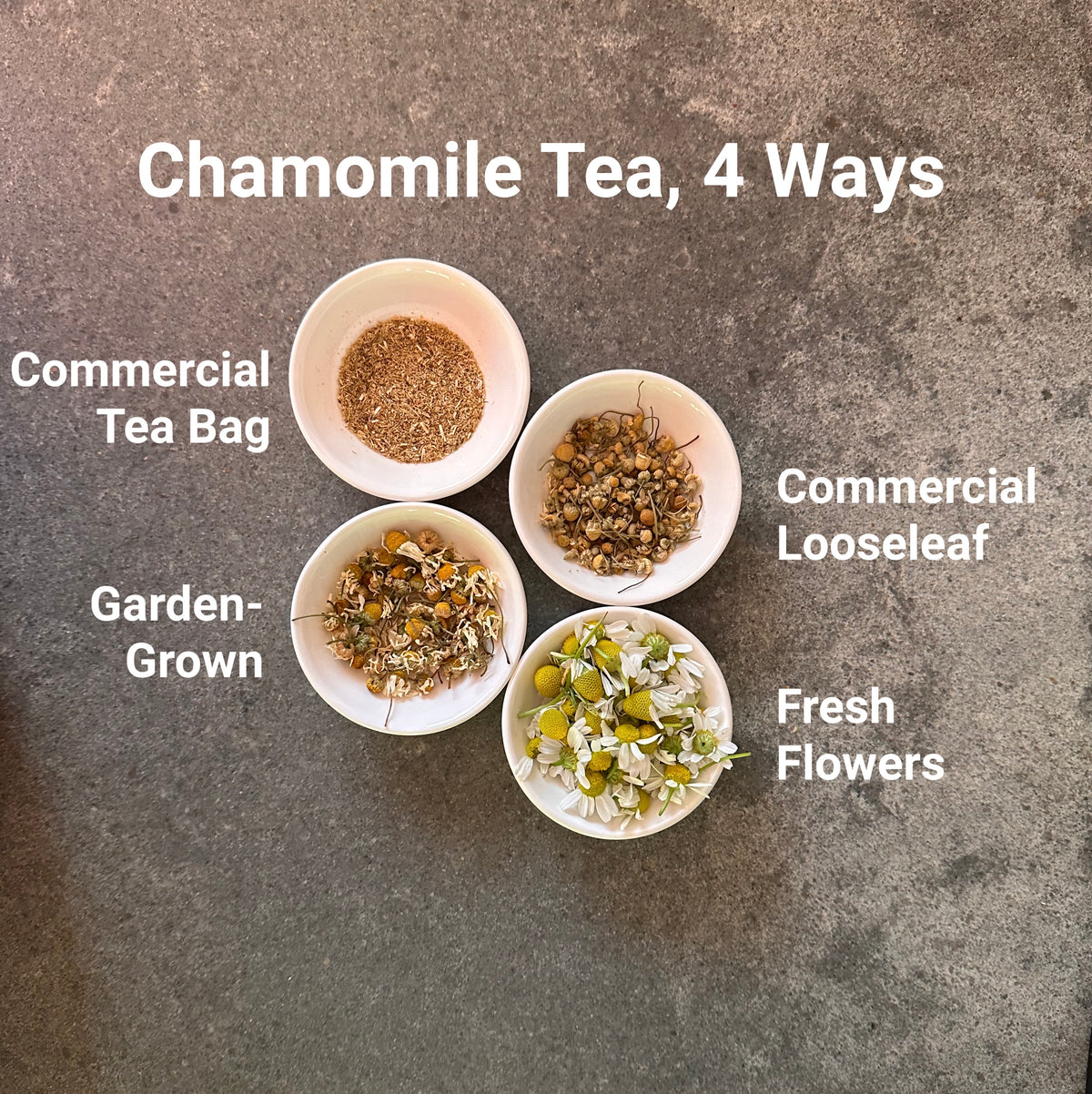 Four tiny bowls with chamomile tea from four different sources labeled on a gray background: commercial tea bag, garden-grown, commercial looseleaf, fresh flowers