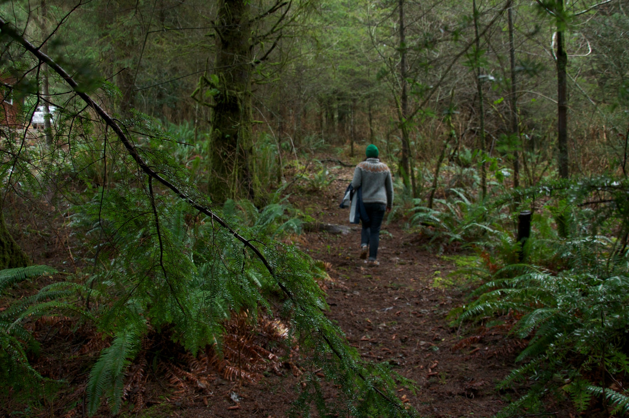 Valerie from Walnut Studiolo walking up an Oregon coastal forest trail that is lush and green with ferns and conifers