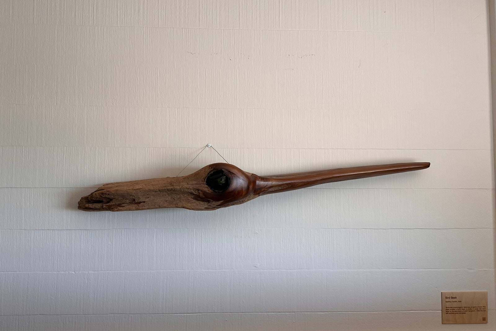 Driftwood sculpture resembling a bird's head with beak and glass eye, mounted on a white wall
