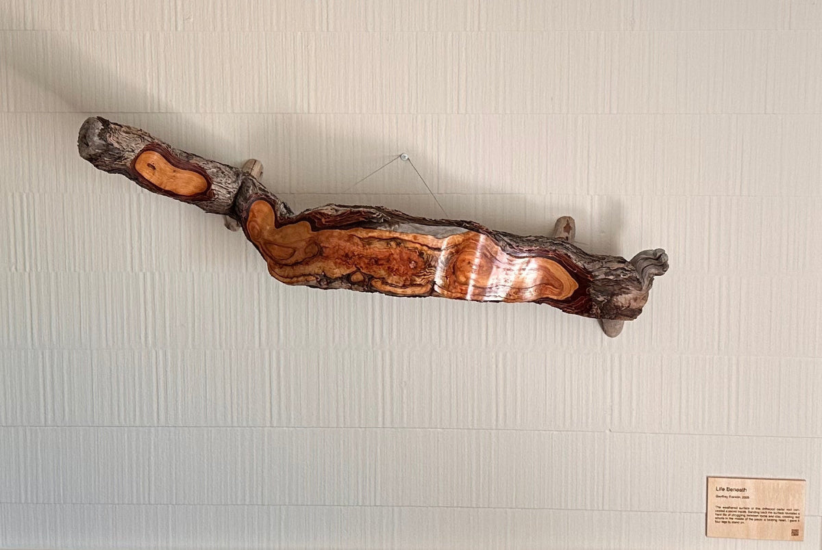 Wooden sculpture that looks like a slug crawling across the wall, mounted on a white wall with a ceiling and curtain in the background
