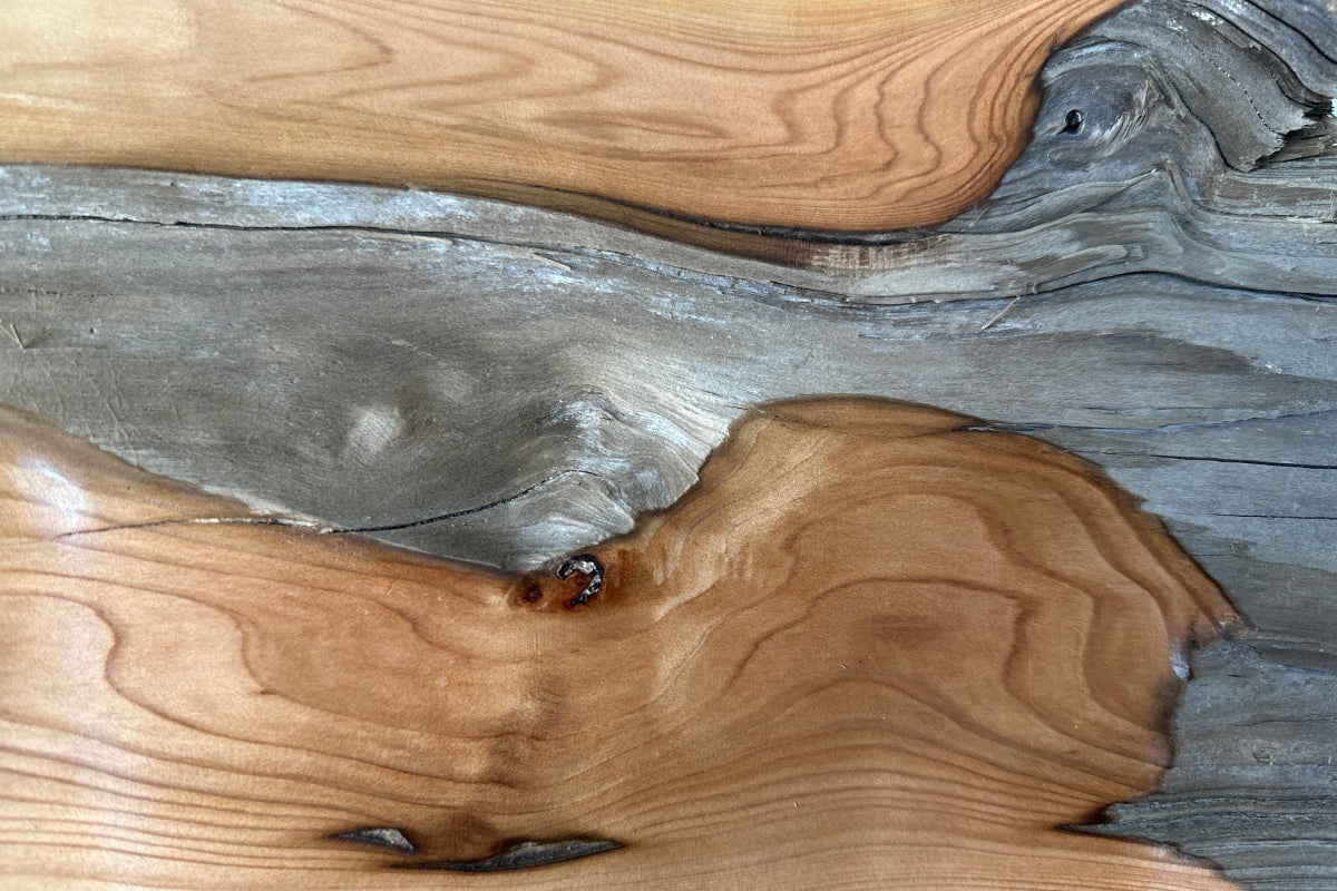 Close-up of a driftwood artwork surface with natural grain and texture contrasting the honey sanded underneath with the rough gray driftwood exterior