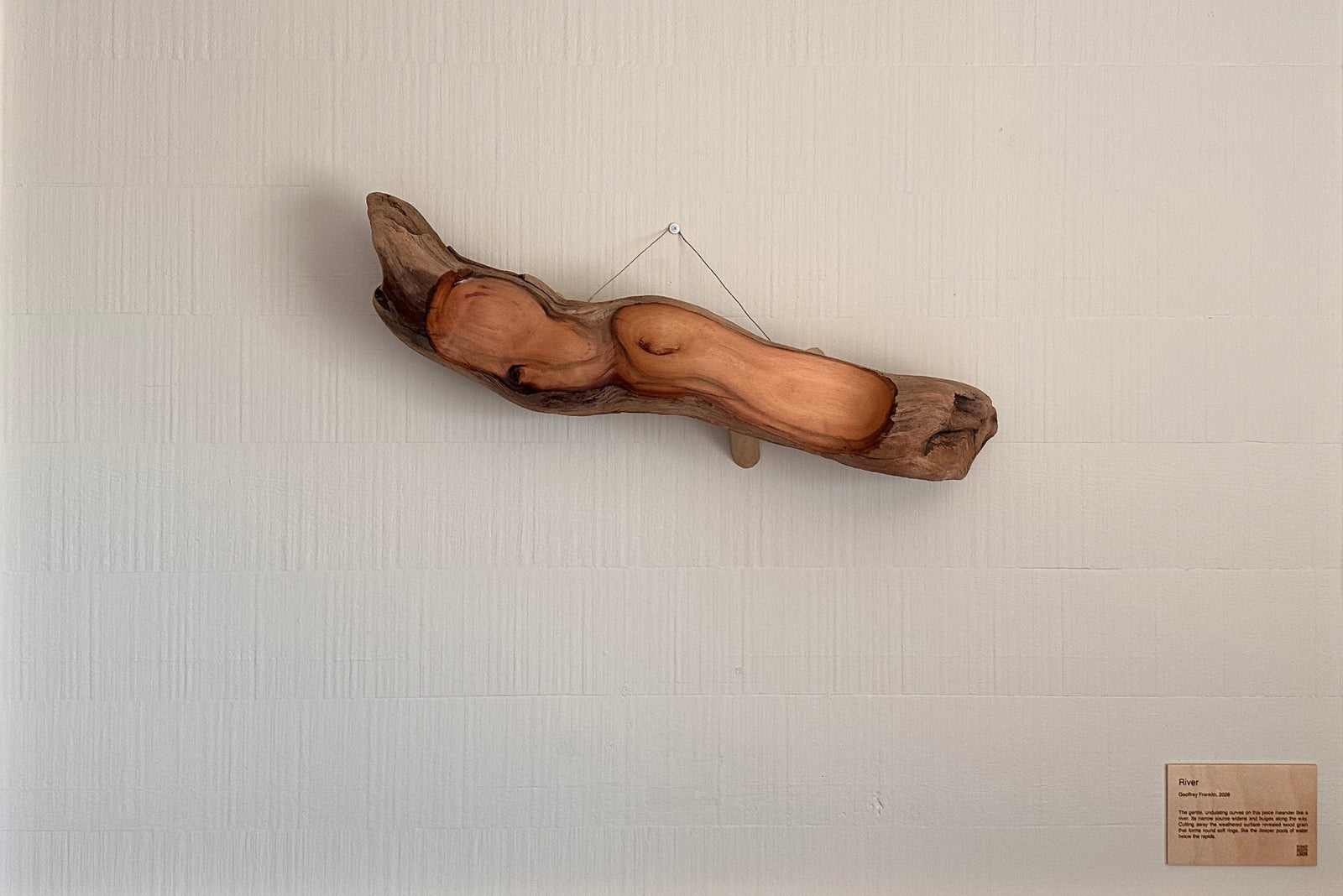 Driftwood sculpture on a white wall with a neutral background