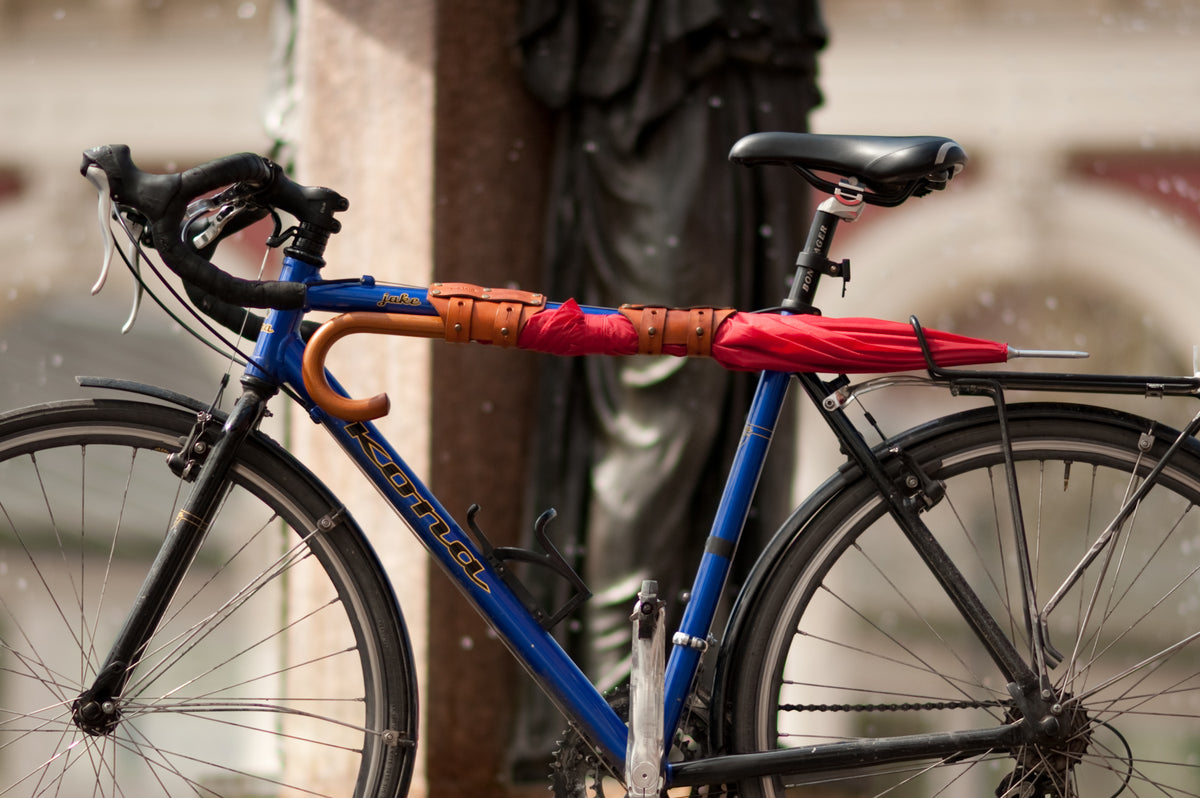 Bicycle Leather Cargo Strap