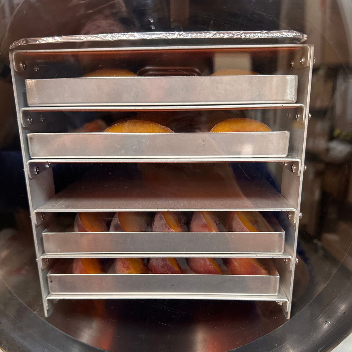 Freeze dryer with slices of fruit dehydrating inside