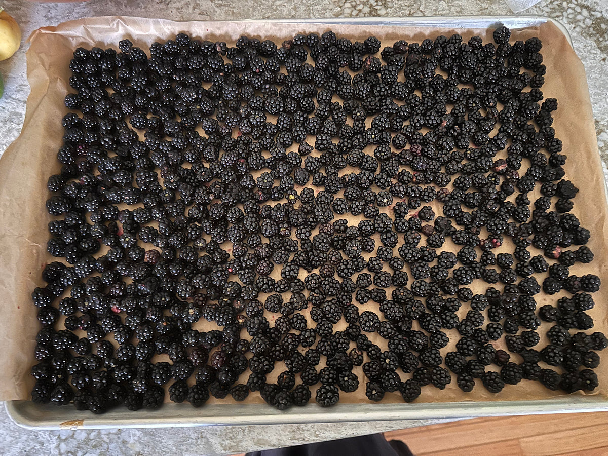 Sheet pan with blackberries on a countertop