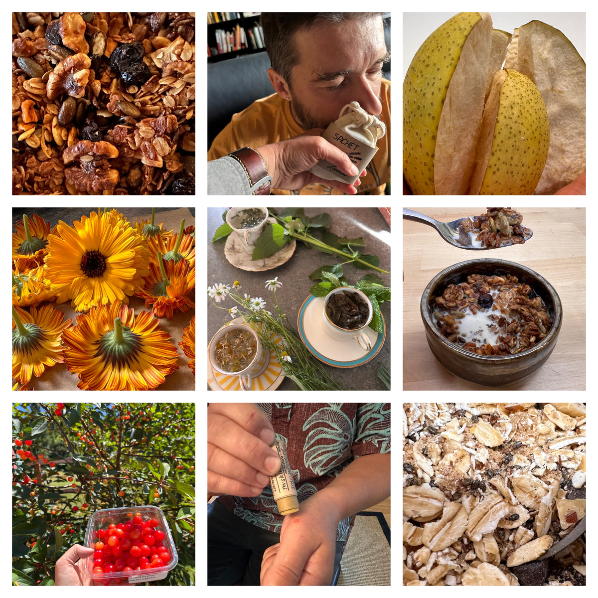 Collage of images from the Homestead Collection, including granola, a person smelling a sachet, a person applying skin salve to their hand, dried fruit, flowers, and other food items.
