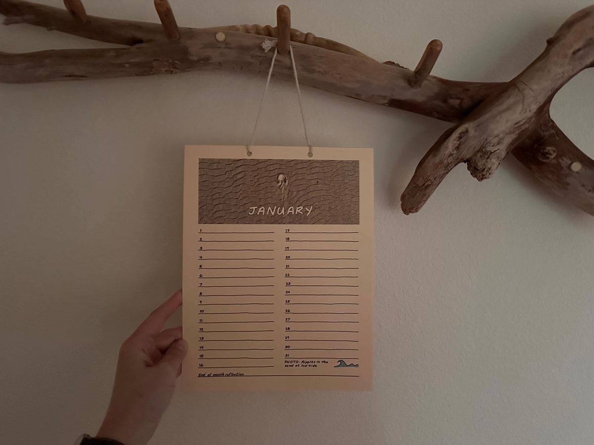 Hand holding a January calendar against a white wall with a branch decoration.