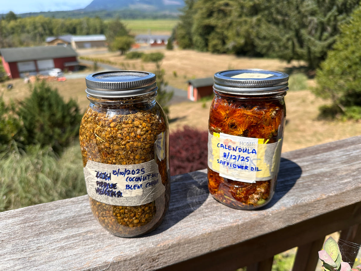 Two jars filled with flowers infusing in oil with labels on a wooden surface outdoors with a scenic background