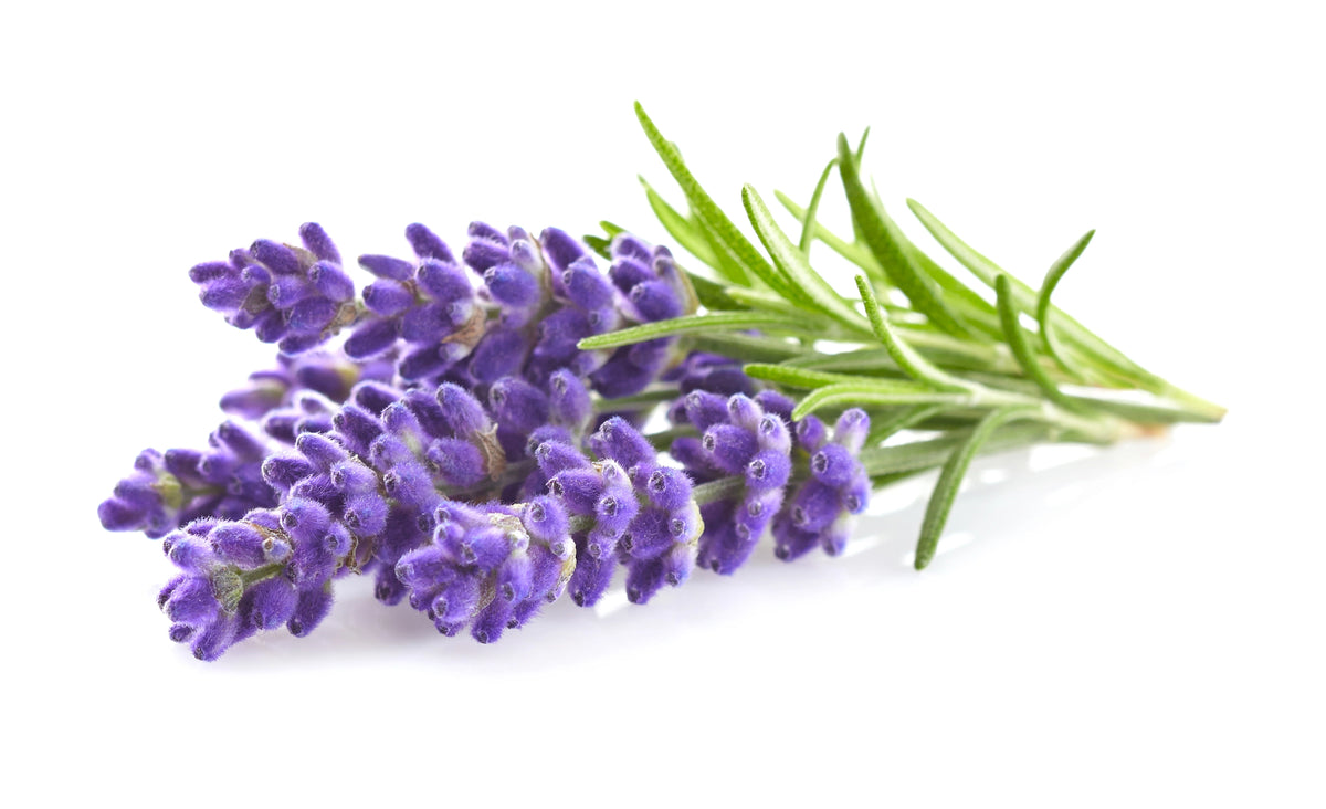 Garden-Grown Herbs