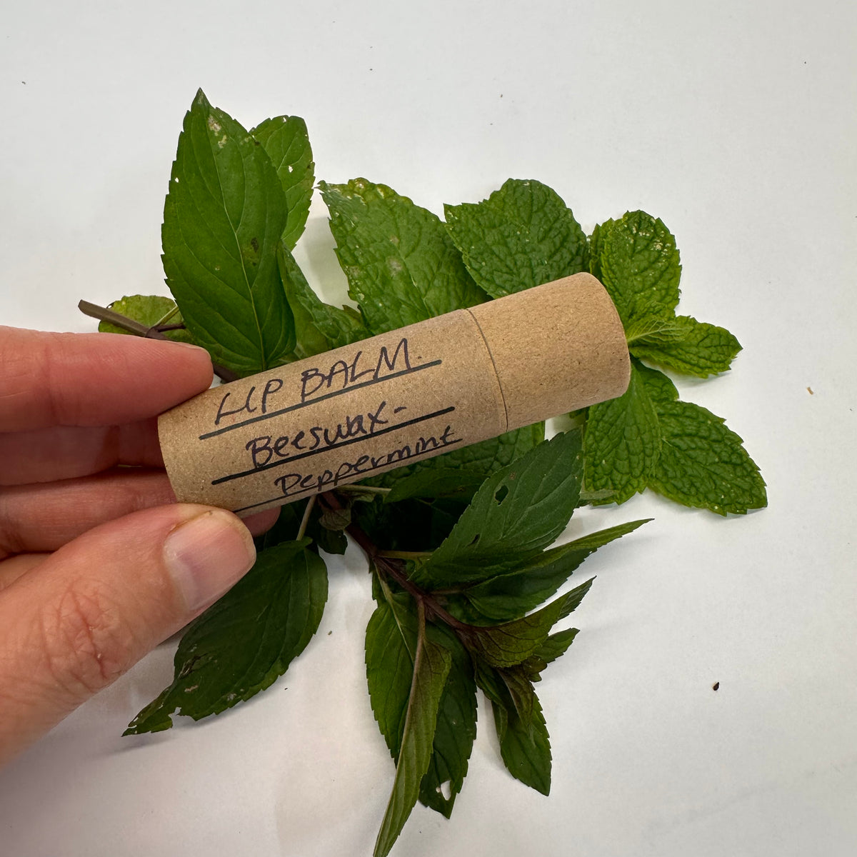 Hand holding a cardboard lip balm tube with label &#39;Beeswax Peppermint&#39; on bed of mint leaves