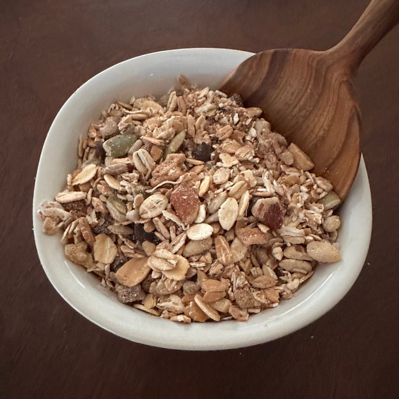 Bowl of 9-grain oats with bits of fruit and nuts with a wooden spoon on a brown background