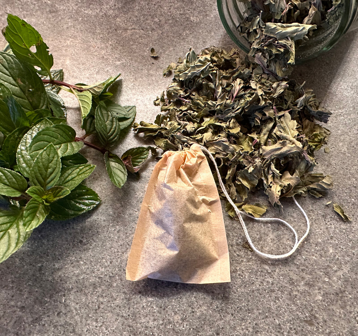 Dried peppermint, a sprig of fresh peppermint, and a small brown paper tea bag on a concrete surface.