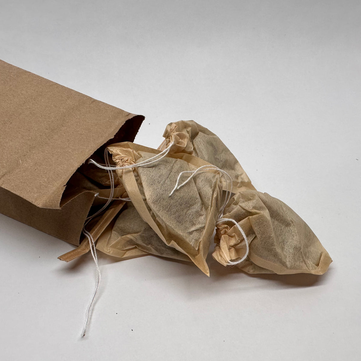 Brown paper bag with about five brown paper tea bags spilling out onto a white background