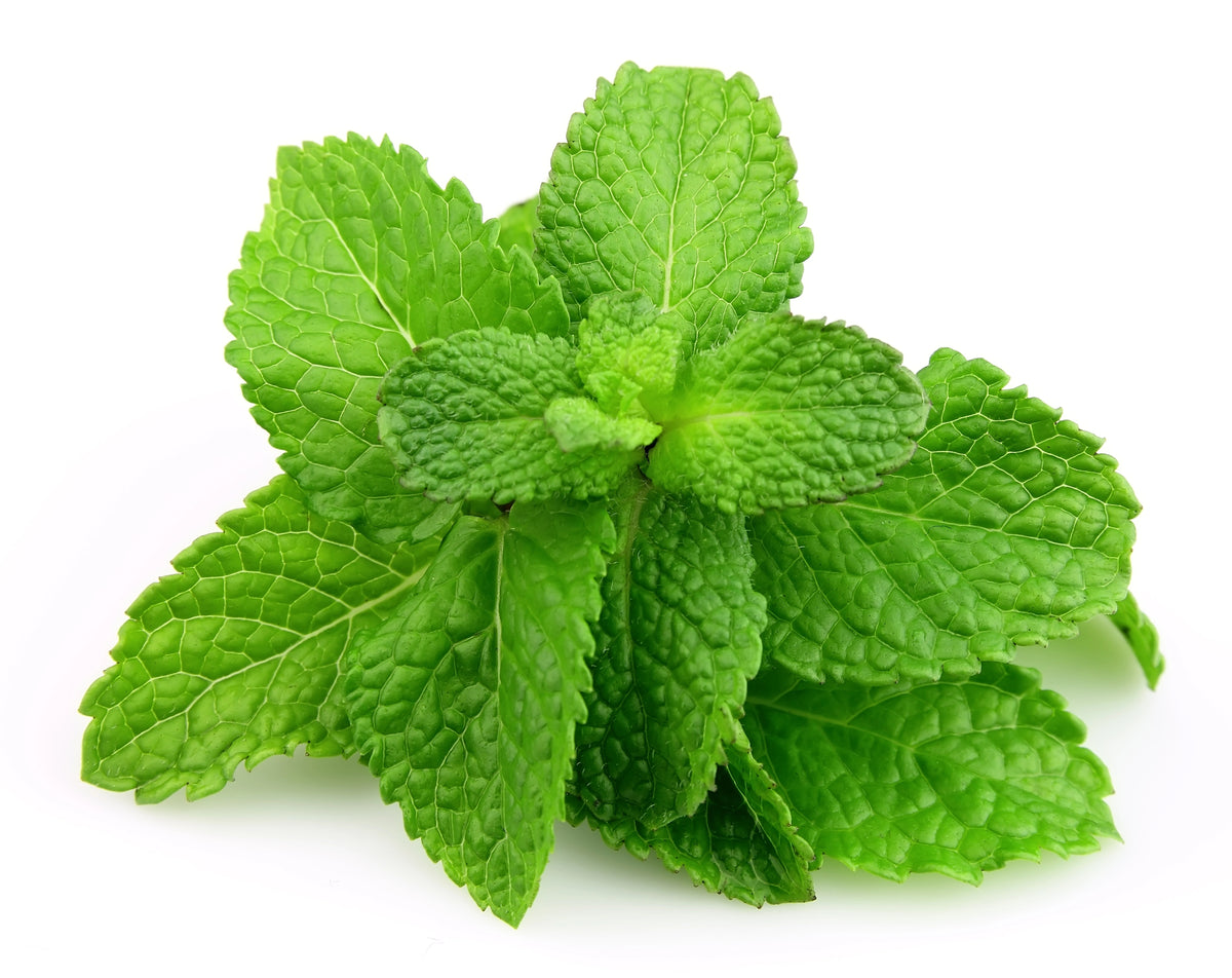 Garden-Grown Herbs