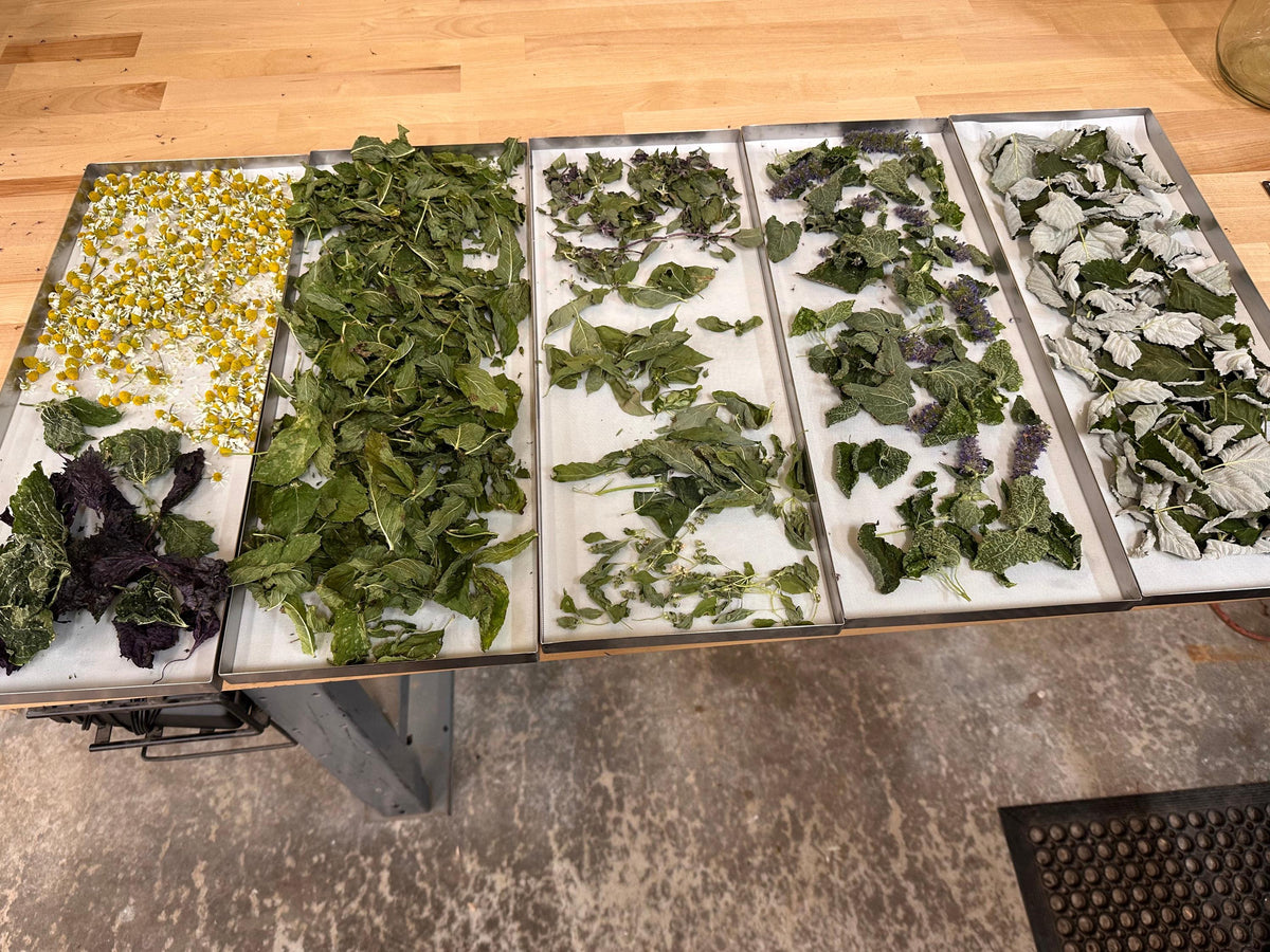 Garden-Grown Herbs and Tea